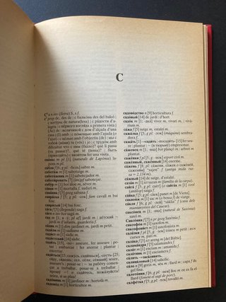 Diccionari rus-català