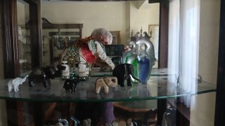 Colección figuras elefantes decorativas