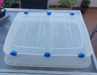 Caja de almacenaje transparente con cierres azules