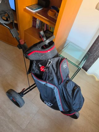 Carro golf Masters + Bolsa Wilson + Sombrilla