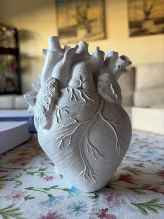 Figura Corazón Realista