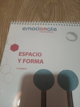 Espacio y forma Matemáticas 1, Educación Primar...