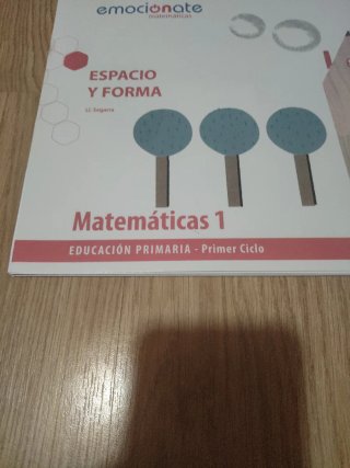 Espacio y forma Matemáticas 1, Educación Primar...