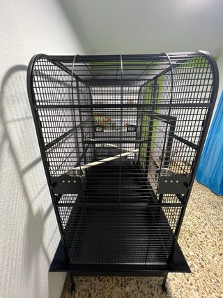 Jaula Doble Grande Negra para Loro