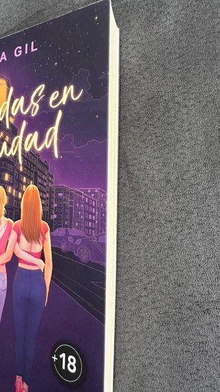 Libro perdidas en la ciudad
