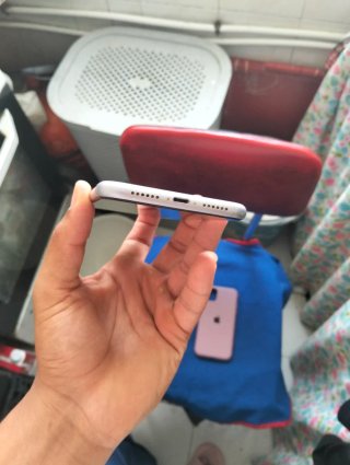 iPhone 11 Viola