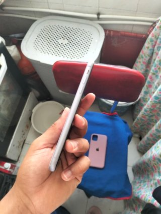 iPhone 11 Viola