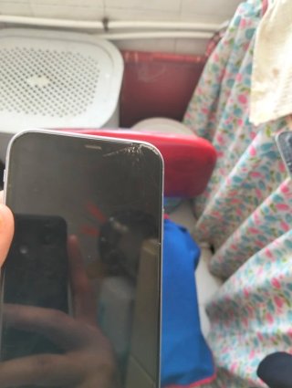 iPhone 11 Viola
