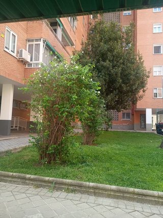 Piso en venta en Arcos en Madrid - Imagen 22