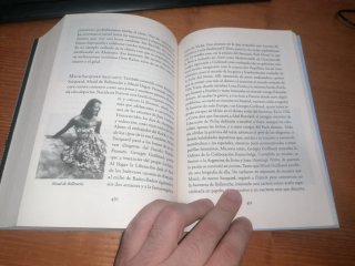 Libro: EL ÚLTIMO VUELO Fernando Castillo