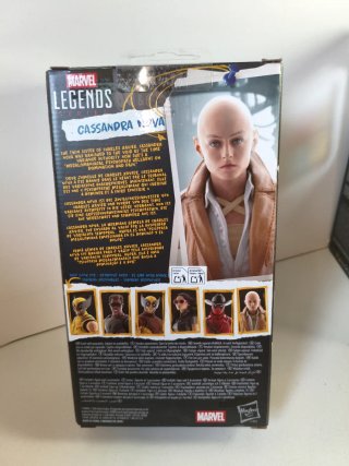 Marvel Legends Deadpool & Wolverine Cassandra Nova