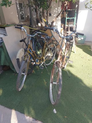 Bicicleta urbana mujer