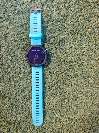 Garmin Forerunner 245 Music Azul