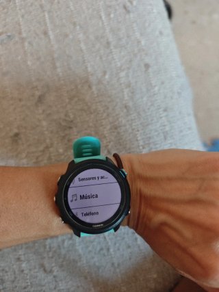 Garmin Forerunner 245 Music Azul
