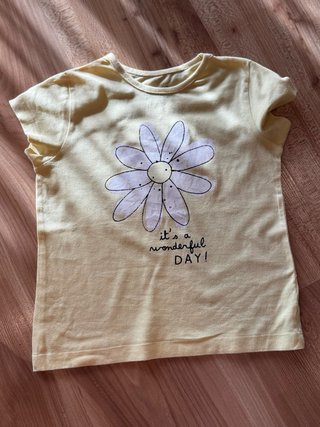 Lote 6 camisetas niña T. 3/4 años