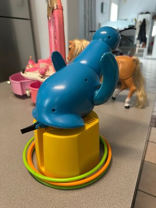 Gioco Cattura la foca con anelli