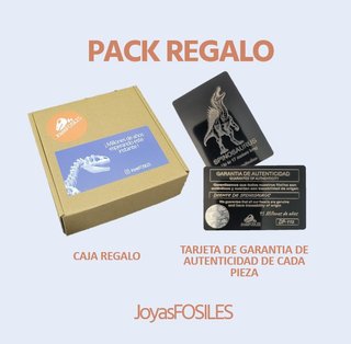 Caja con Fósil Spinosaurio 95 Millones años