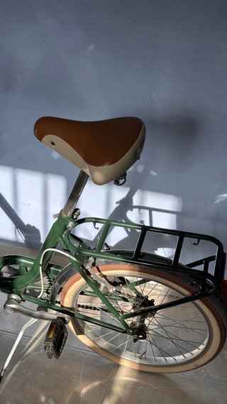 Bicicleta Capri Plegable Verde