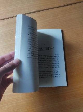 Una historia de piratas-- o casi