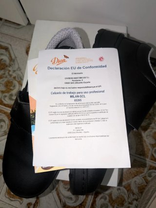 Zapatos de seguridad Dian negros