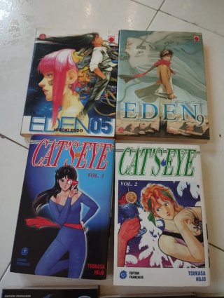 Manga en Frances