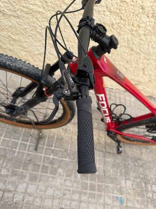 Bicicleta Focus Raven 29 Carbono