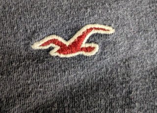 Camiseta Hollister