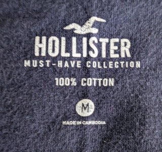 Camiseta Hollister