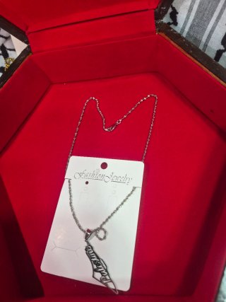Collar Mapa Palestina Plata