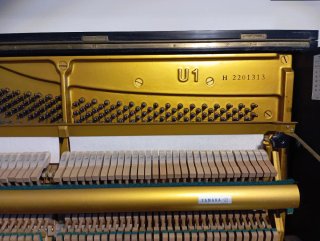 Piano Acústico Vertical Yamaha U1 H