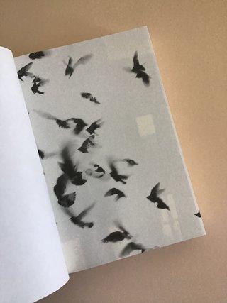 Tan fuerte, tan cerca - Jonathan Safran Foer LUMEN