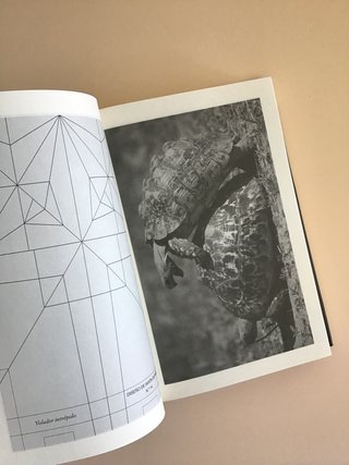 Tan fuerte, tan cerca - Jonathan Safran Foer LUMEN