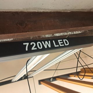 Luz LED 720W Black Panther segundamano