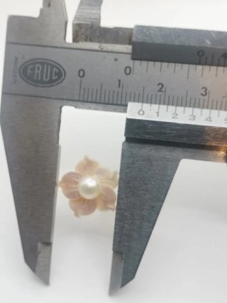 Pendientes Oro 18k Nacar y Perla