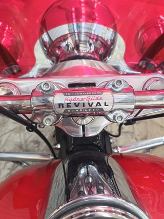 Harley-Davidson Hydra Glide Revival