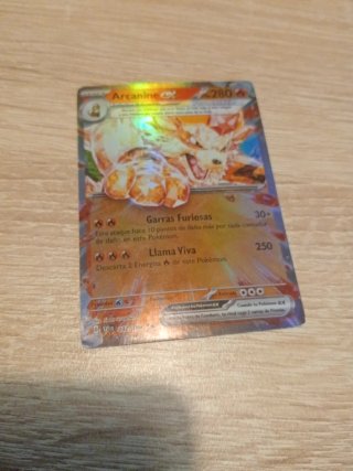 2 Cartas Pokémon Arcanine EX