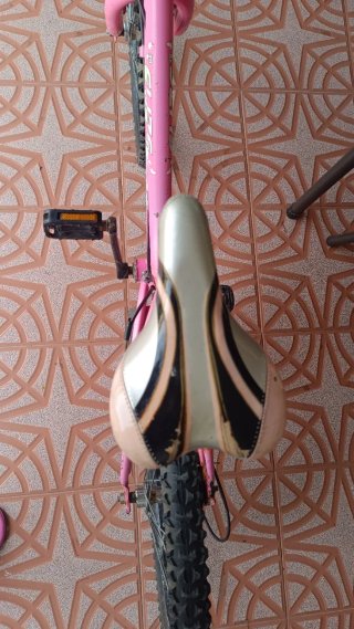 Bicicleta infantil 20 pulgadas