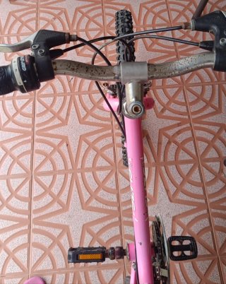 Bicicleta infantil 20 pulgadas