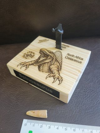 Expositor Fósil Dinosaurio Spinosaurus