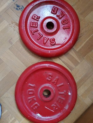 2 Discos Mancuernas Salter 10 kg