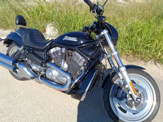 Harley Davidson vrcd