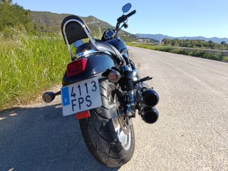Harley Davidson vrcd