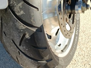 Harley Davidson vrcd