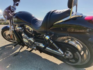 Harley Davidson vrcd