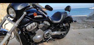 Harley Davidson vrcd