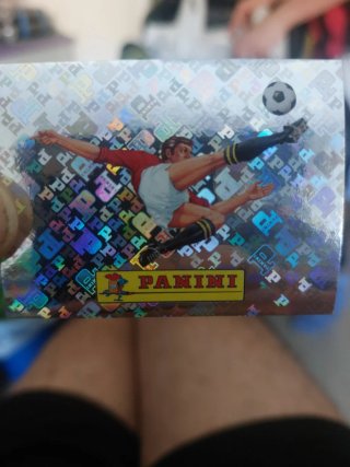 Carta Mundial Panini 00