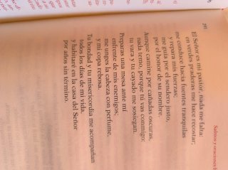 Manual del capellán - actos religiosos y castre...