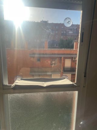 Cama para ventana de gato