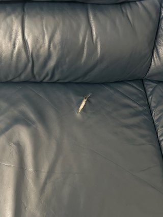 Juego de sofás de cuero azul