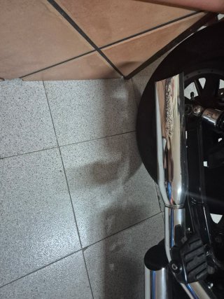 Harley Davidson 883 Iron Beige/Negro
